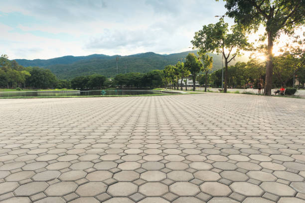 Best Decorative Driveway Pavers  in Solvang, CA